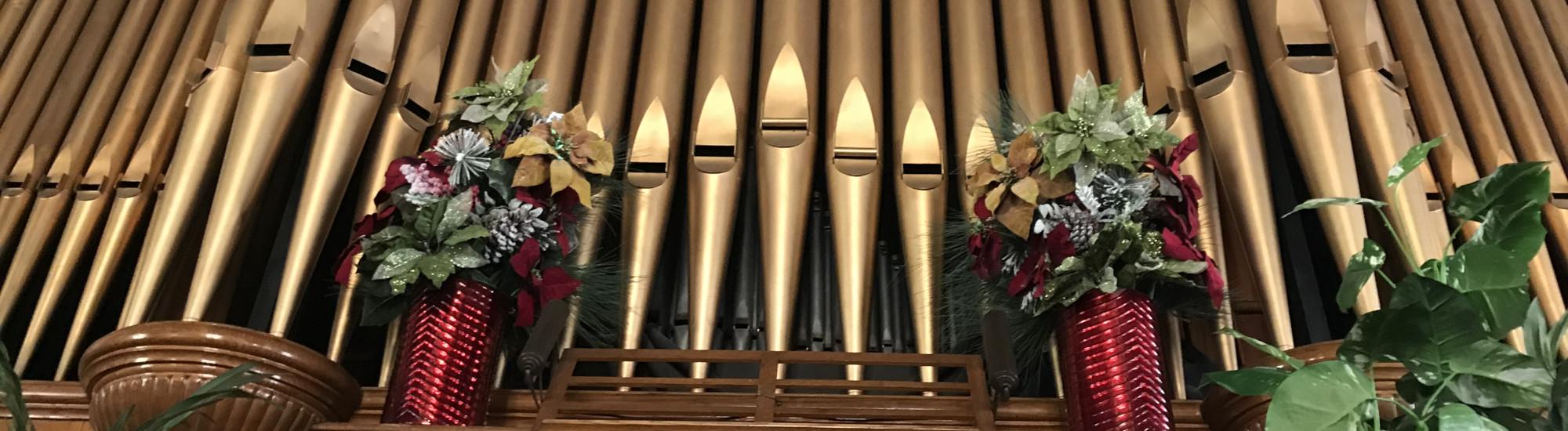photo of the organ pipes and flowers
